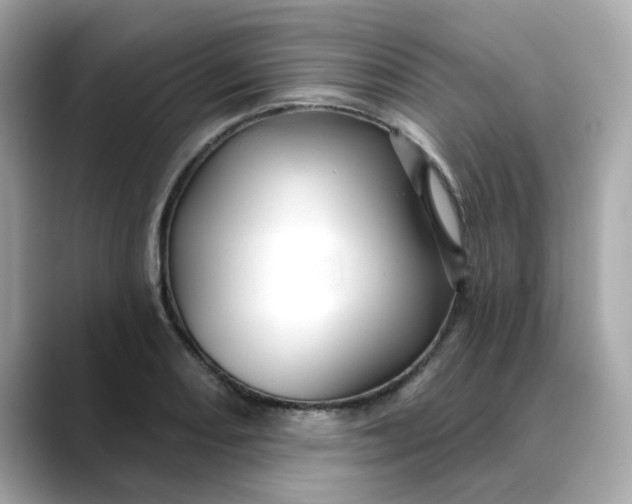 X0000088431082200706051226