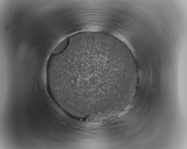 X0000088431083200706051226