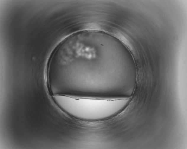 X0000088431084200706051226