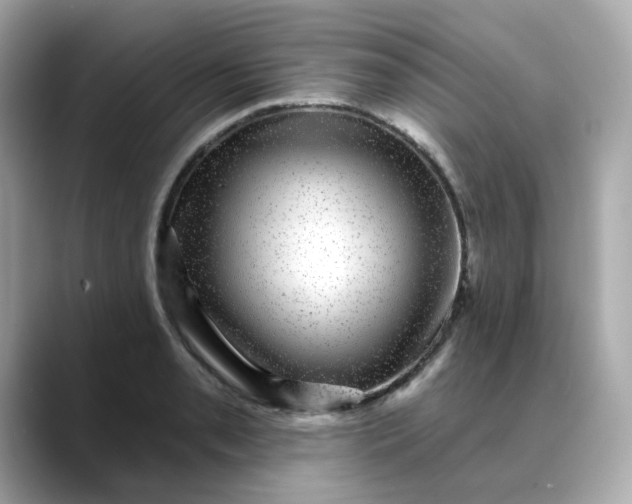 X0000088431085200706051226