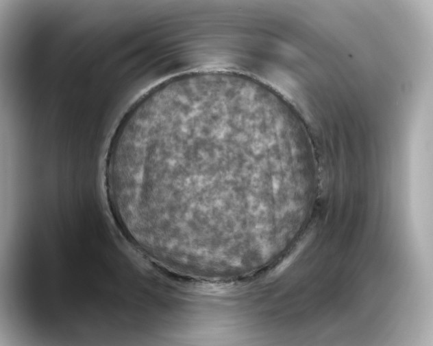 X0000088431086200706051226