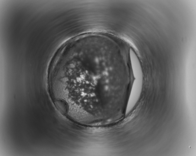 X0000088431087200706051226