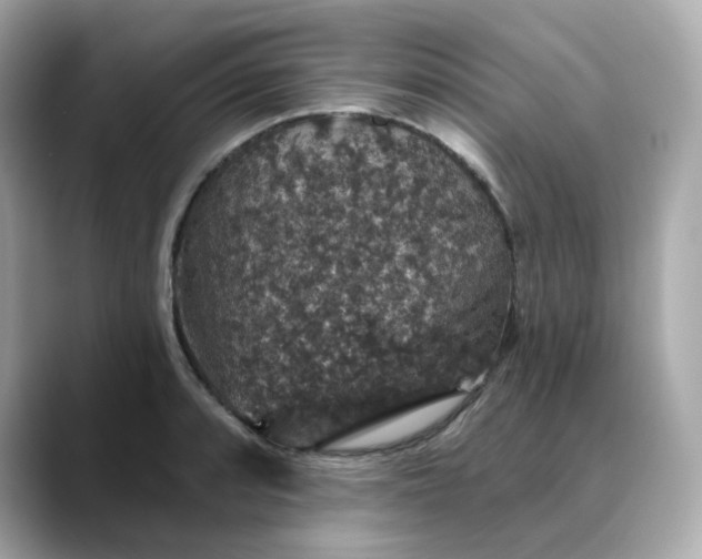 X0000088431088200706051226