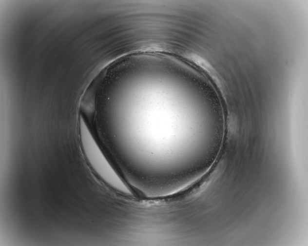 X0000088431089200706051226