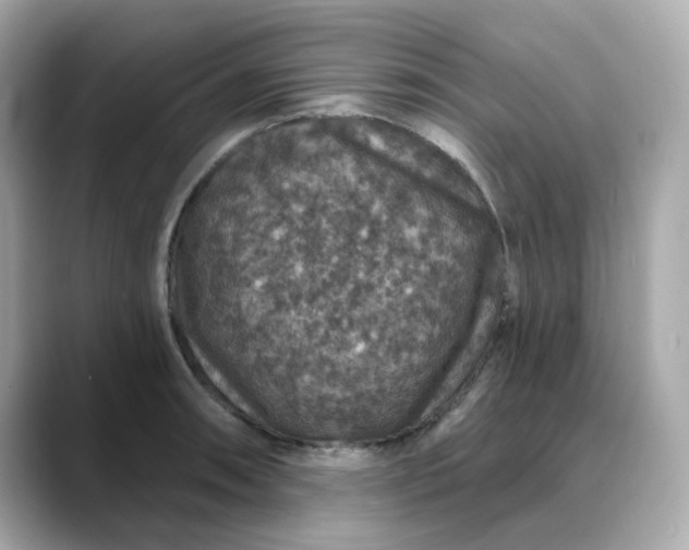 X0000088431090200706051226