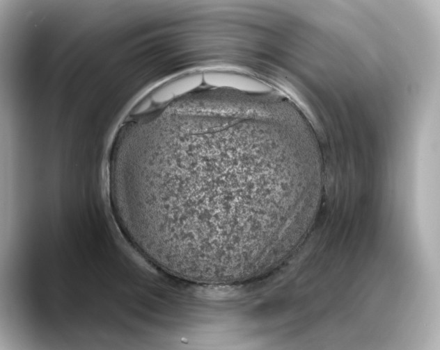 X0000088431092200706051226