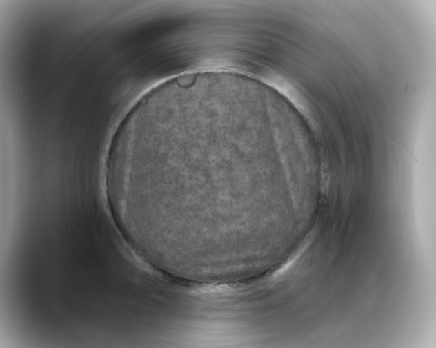 X0000088431094200706051225