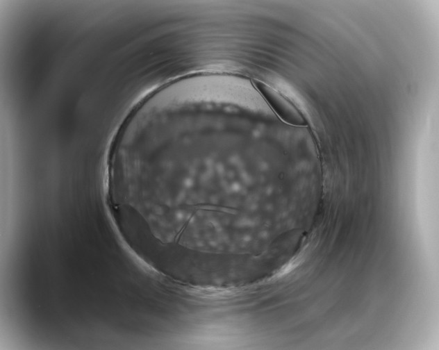 X0000088431095200706051225