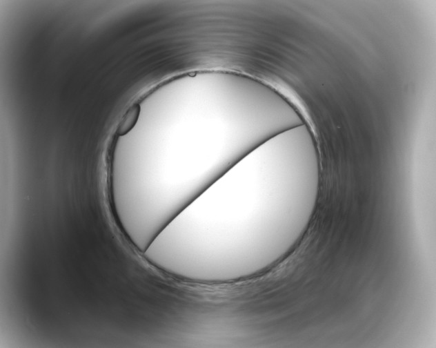 X0000088431096200706051225