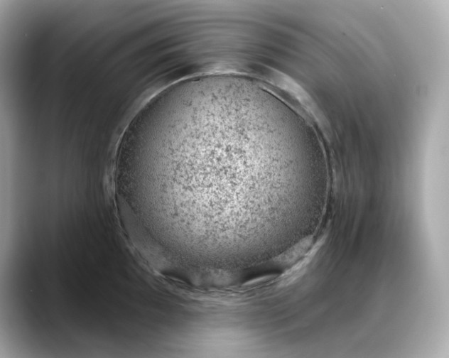 X0000088431097200706051225