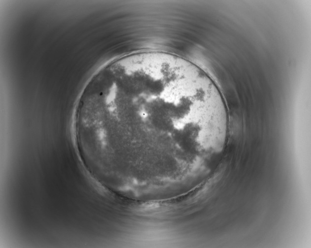 X0000088431098200706051225