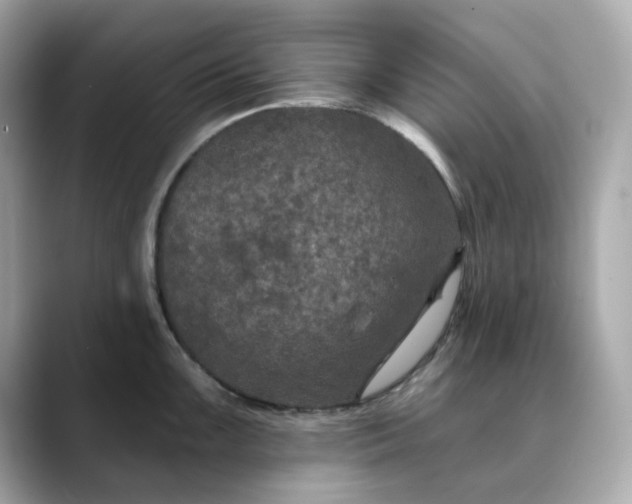 X0000088431099200706051225