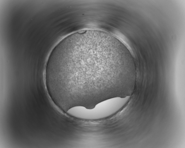 X0000088431100200706051225