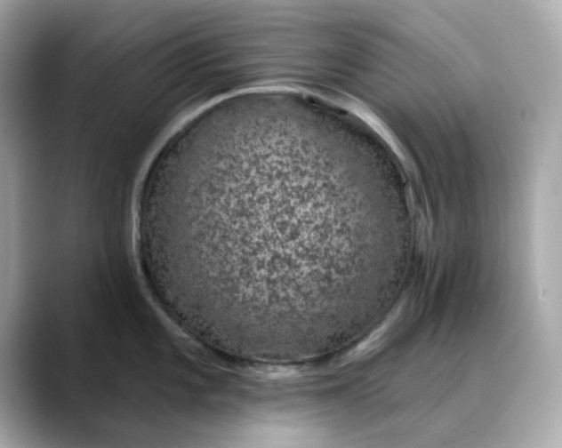 X0000088431101200706051225