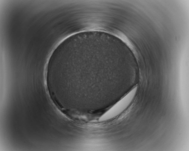 X0000088431102200706051225