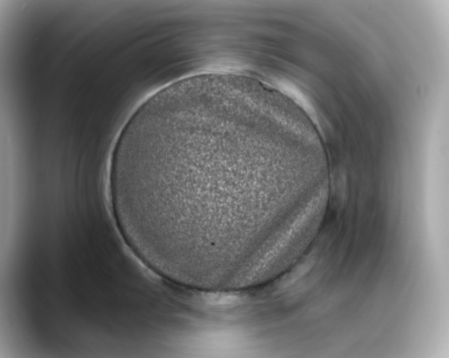 X0000088431103200706051225