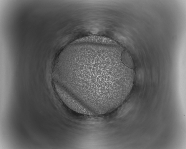 X0000088431105200706051225