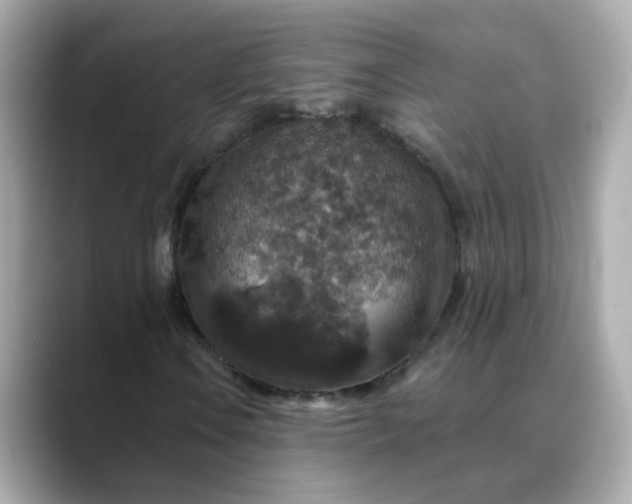 X0000088431106200706051225