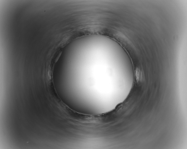 X0000088431107200706051225