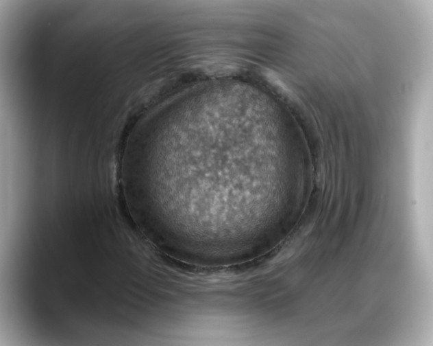 X0000088431108200706051225