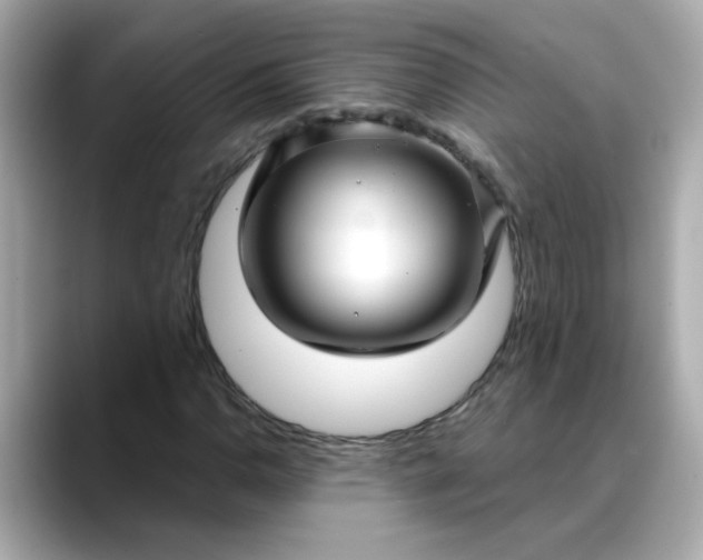 X0000088431110200706051225