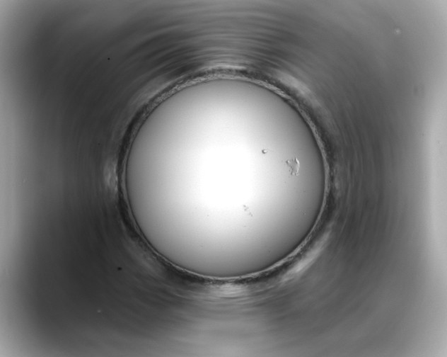 X0000088431113200706051225