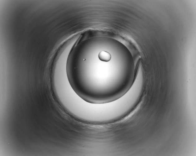 X0000088431114200706051225