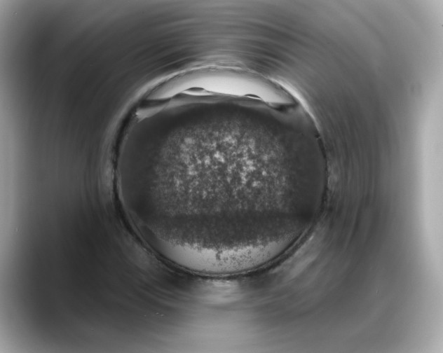 X0000088431115200706051225