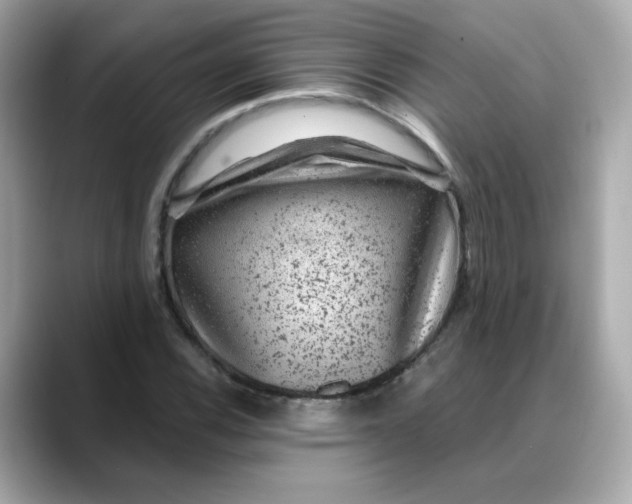 X0000088431116200706051225