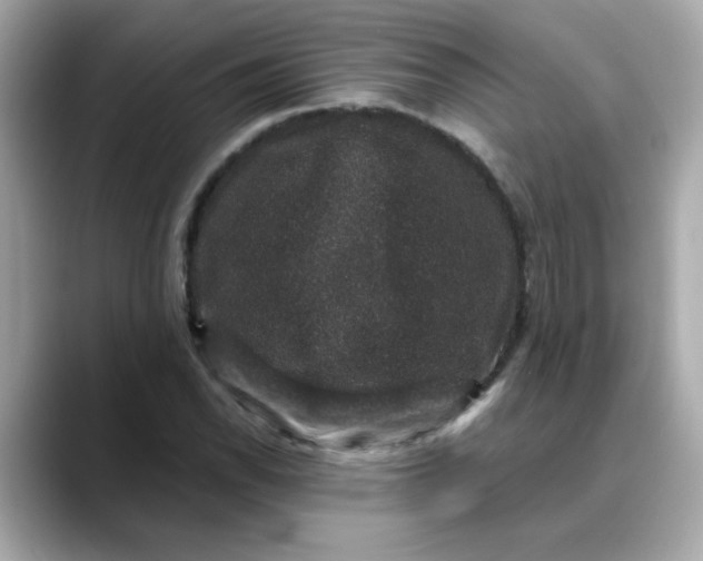 X0000088431118200706051225