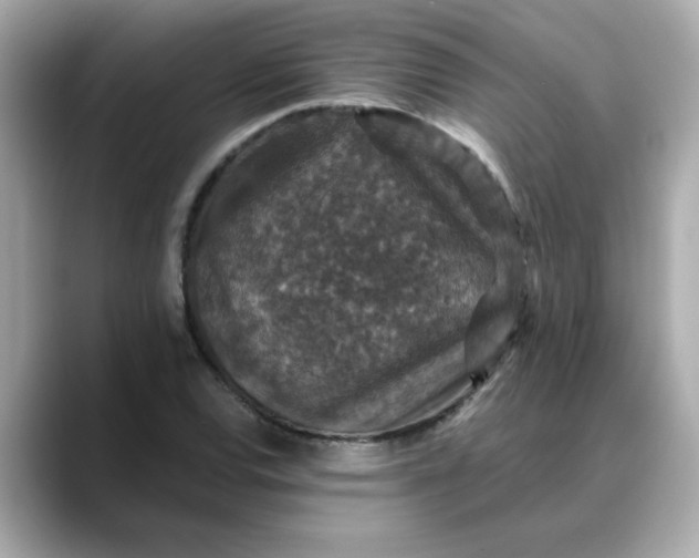 X0000088431120200706051225