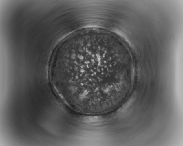 X0000088431121200706051225