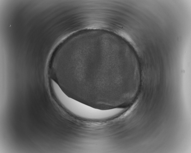 X0000088431122200706051225