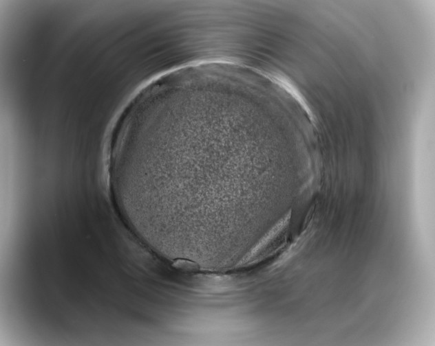 X0000088431124200706051225