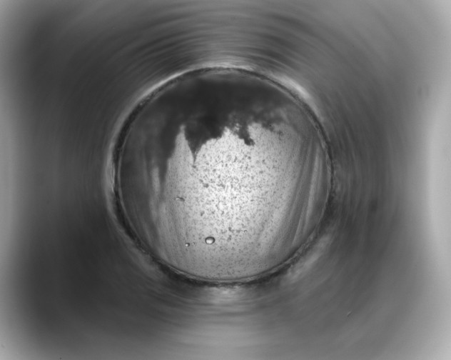 X0000088431125200706051225