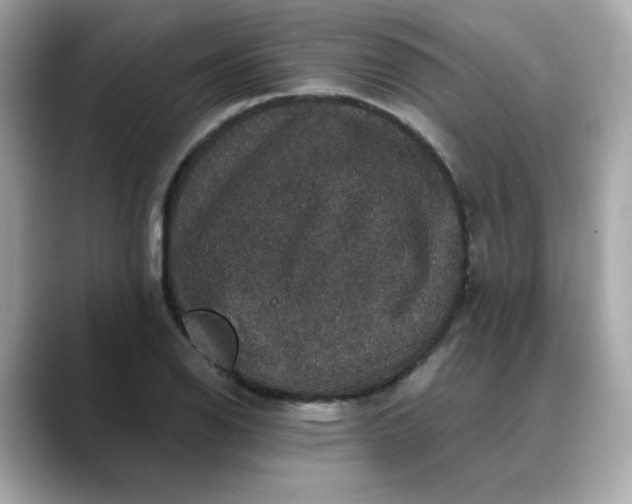 X0000088431126200706051225