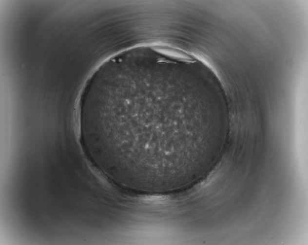 X0000088431127200706051225