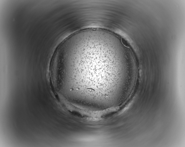 X0000088431129200706051225