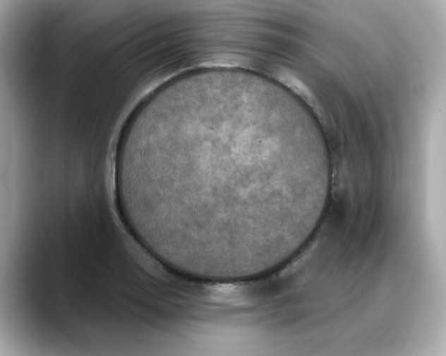 X0000088431130200706051225