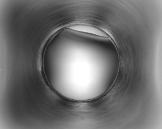 X0000088431131200706051225