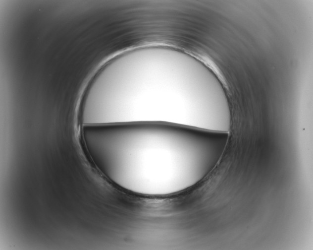 X0000088431132200706051225