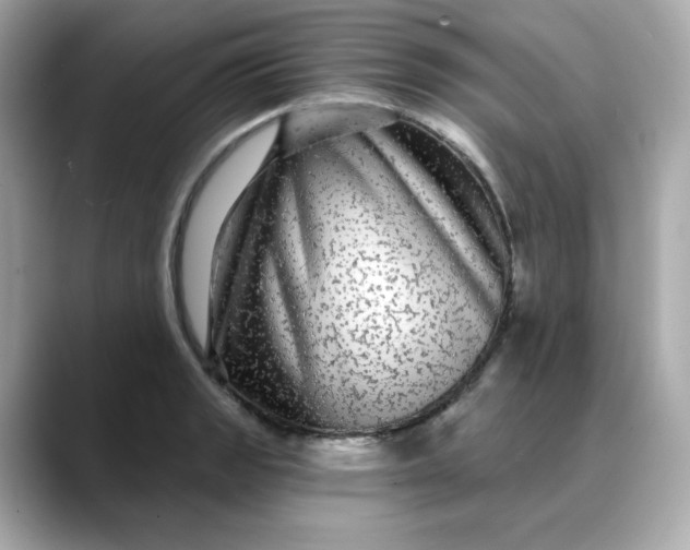 X0000088431133200706051225