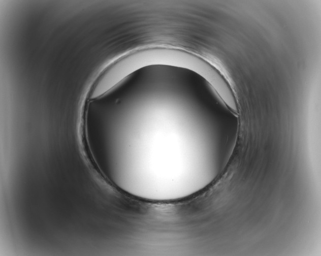 X0000088431136200706051225