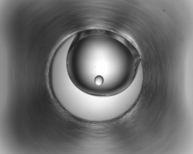 X0000088431138200706051225