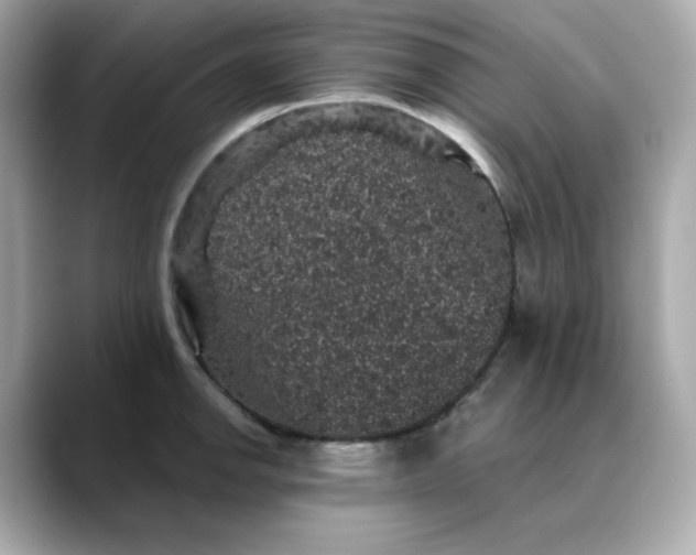 X0000088431142200706051225