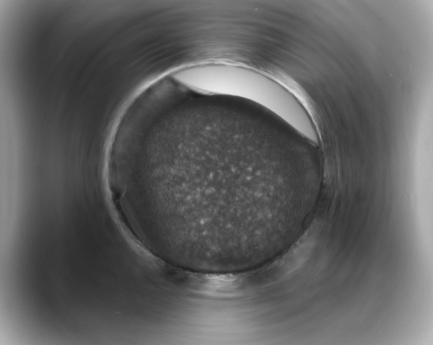 X0000088431144200706051225