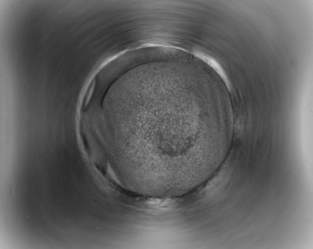 X0000088431146200706051225