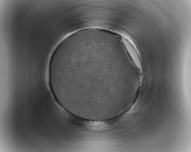 X0000088431147200706051225