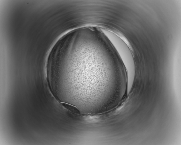 X0000088431148200706051225