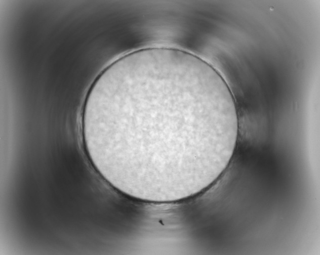 X0000088431150200706051225